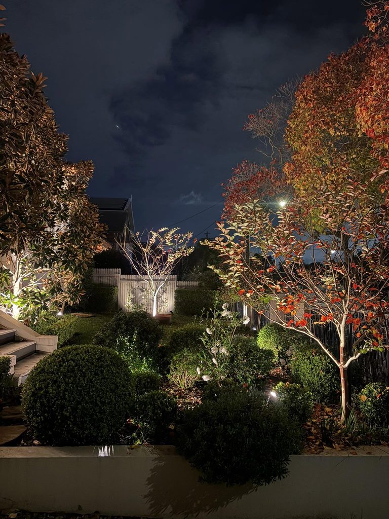 Garden lighting at night, uplighting trees and hedges