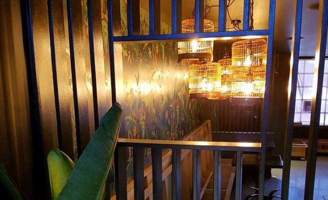Birdcage pendant lights hung above a stairwell behind a timber batten screen