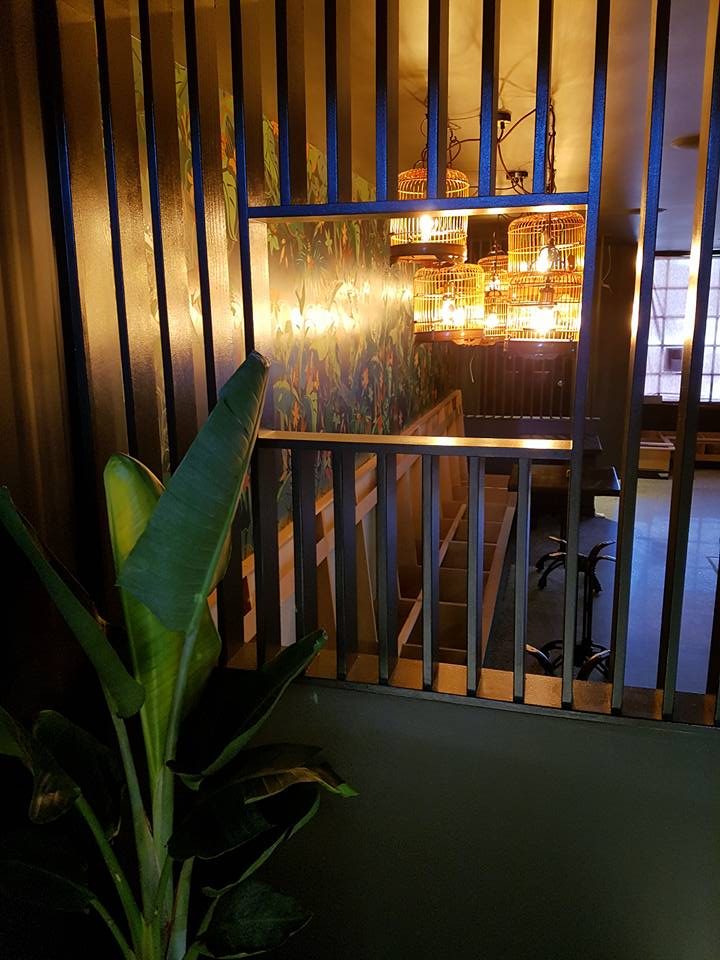 Warm feature lighting behind a timber batten screen and palm